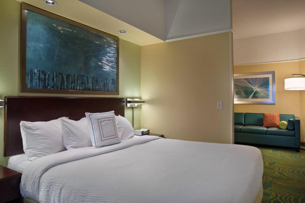 King Suite with Roll-In Shower and Trundle Sofa - Mobility Access/Communication Assistance interior